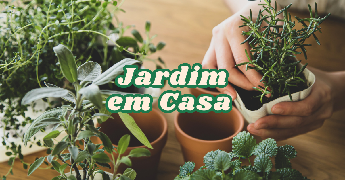 Como Criar um Jardim de Ervas Dentro de Casa