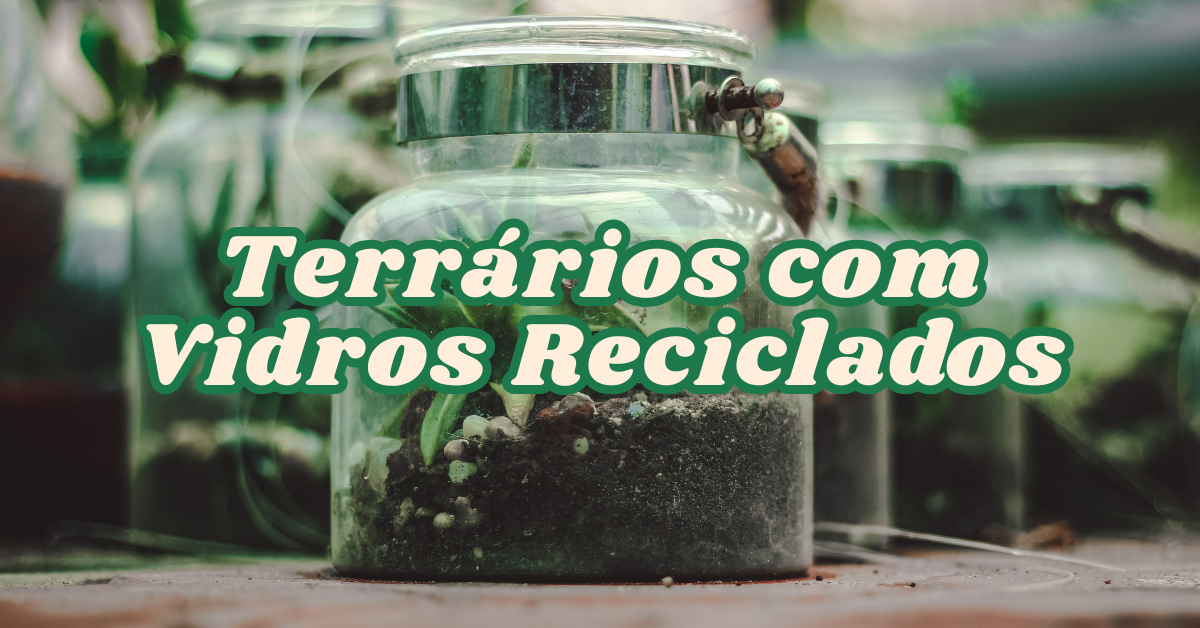 Como Fazer Terrários com Vidros Reciclados