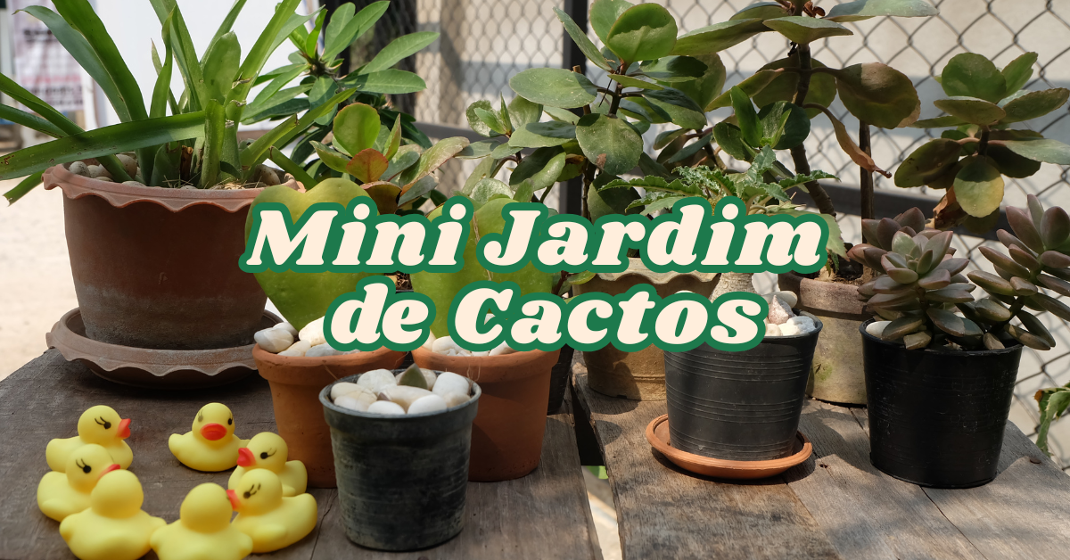 Como Fazer um Mini Jardim de Cactos para o Seu Escritório