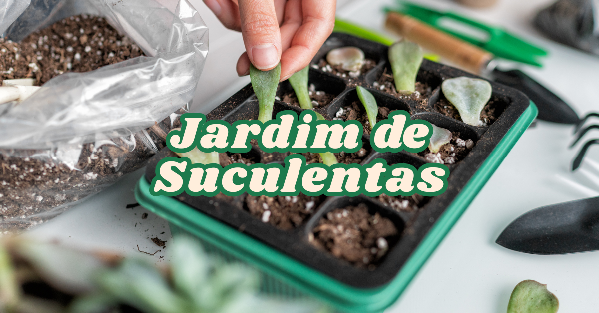 DIY: Como Criar um Jardim de Suculentas Usando Garrafas de Vidro