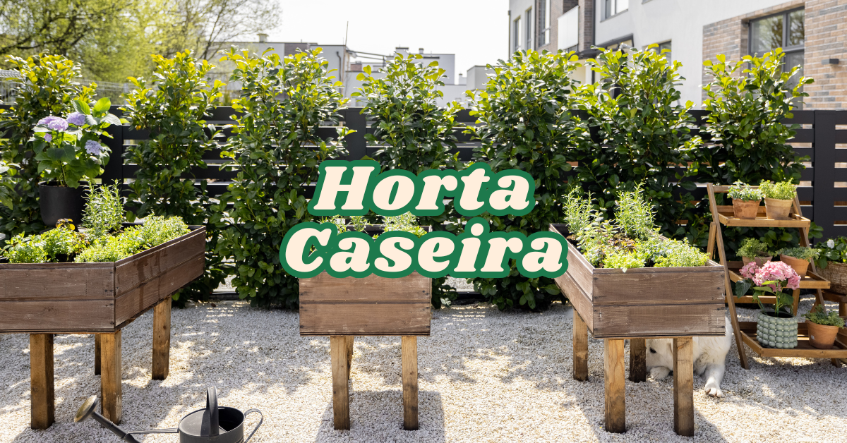 Passo a Passo para Criar uma Horta Caseira com Caixas de Madeira